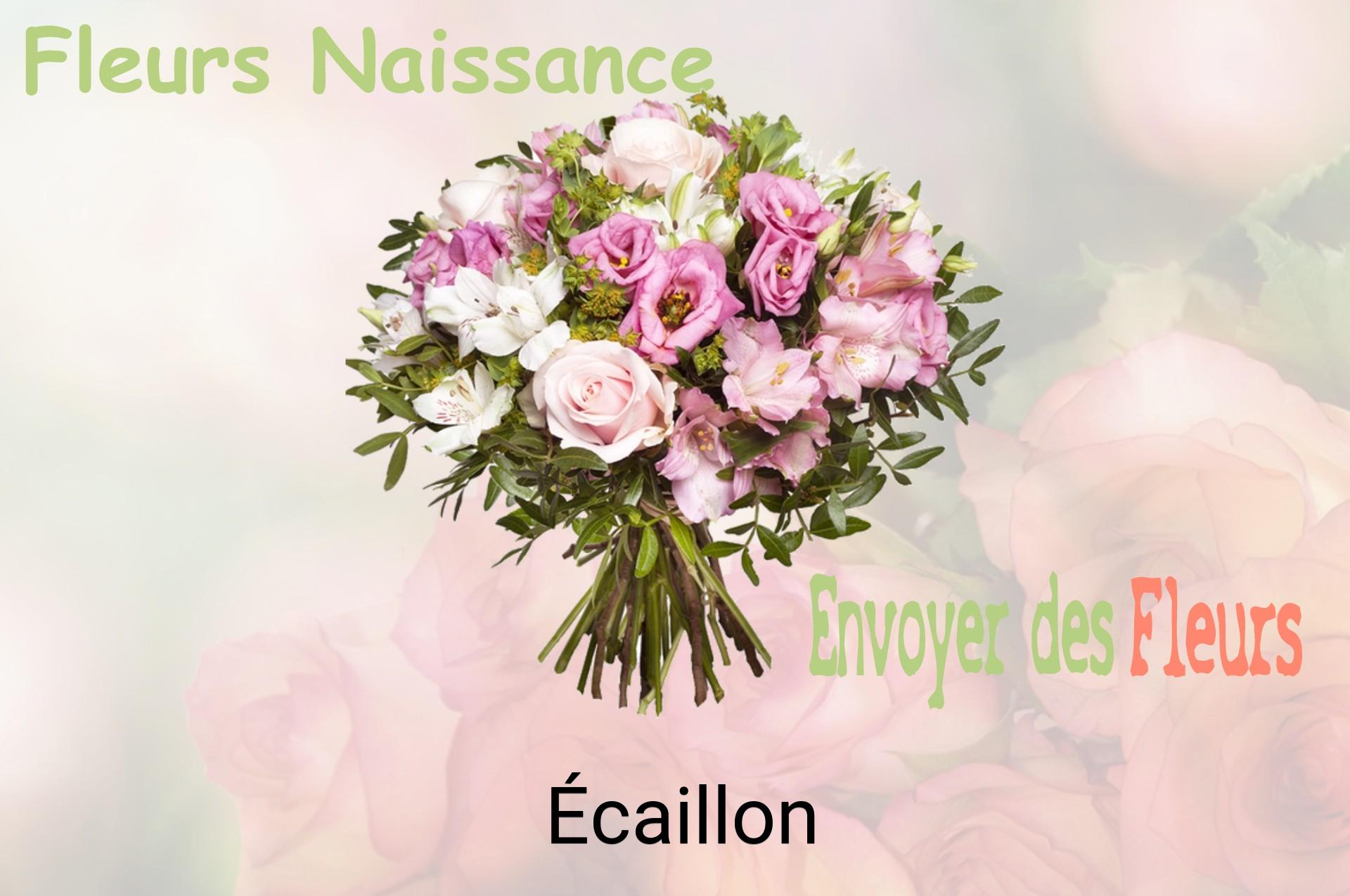 Bouquet de fleurs de naissance livré à Écaillon
